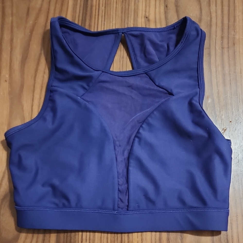 P'tula Deep Blue Sports Bra